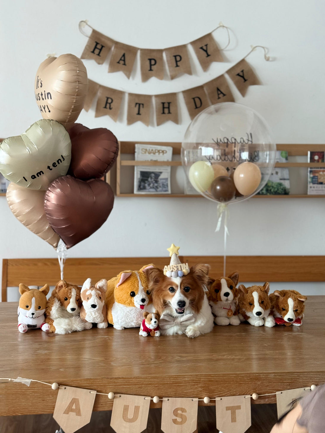 寵物生日｜寵物派對氣球｜Message氣球｜BALLOONHK 氣球專門店