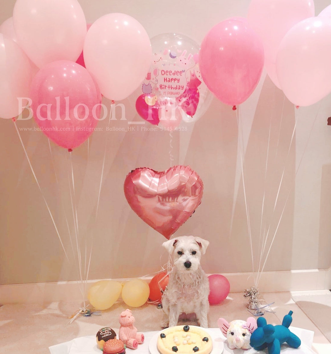寵物生日｜寵物派對氣球｜Message氣球｜BalloonHK