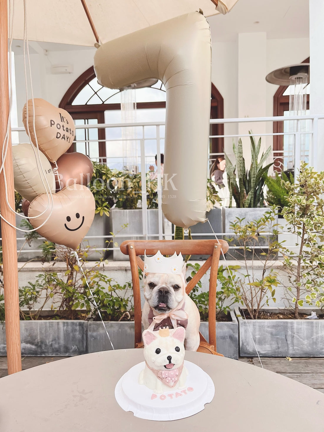 寵物生日｜寵物派對氣球｜寵物氣球｜Balloon HK