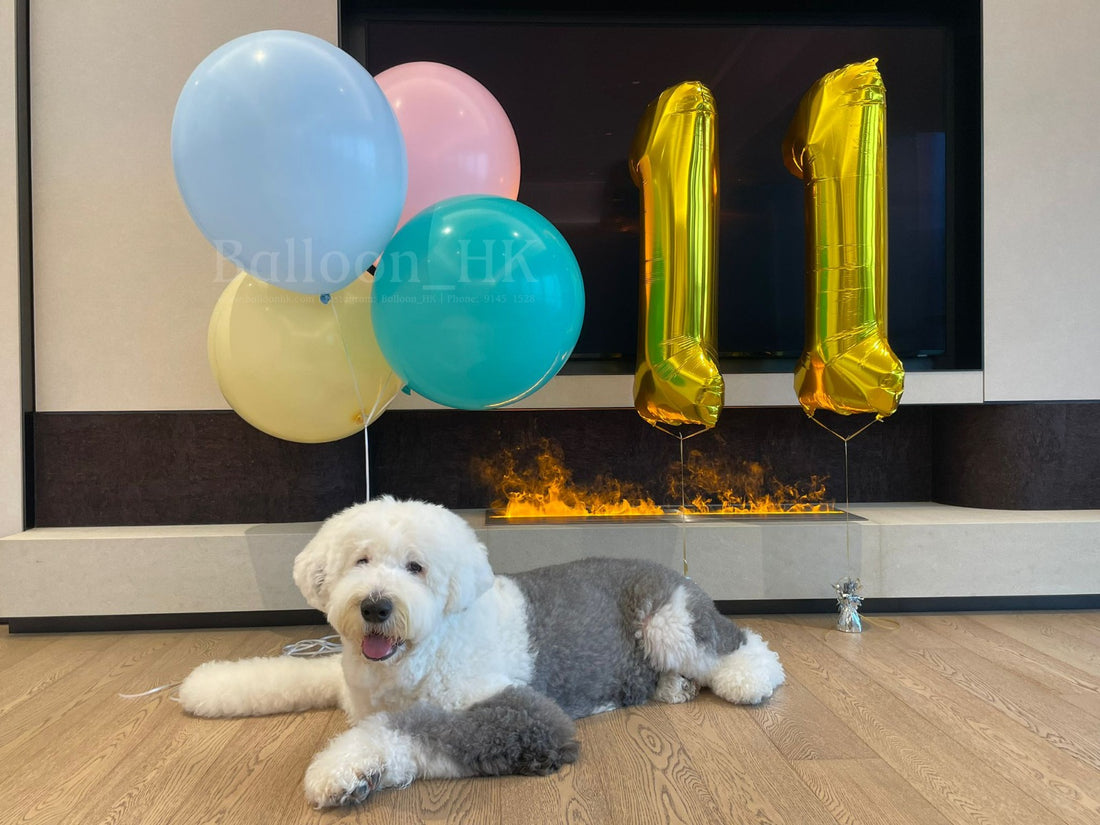 寵物生日｜寵物派對氣球｜寵物氣球｜BalloonHK