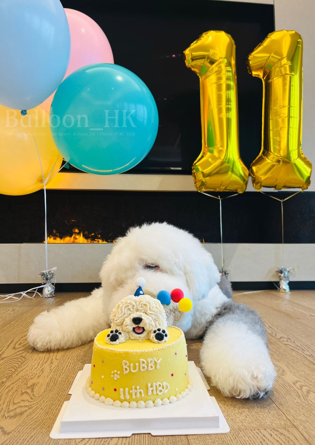 寵物生日｜寵物派對氣球｜寵物氣球｜Balloon HK