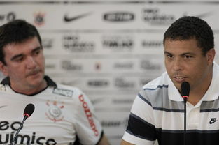 jogo do brasileiro hoje_jogo do bicho do rio_jogo de futebol de penalti